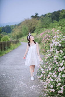 糊里糊涂爱上它剧情介绍